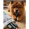 Image 1 : True Dogs DuoBones Minis Mint Chews Lot of 6