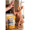 Image 1 : Ten Cats Pillow Pockets Cat Treats Lot 4x85g