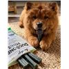 Image 1 : Ten Dogs DuoBones Minis Dog Chews, Mint