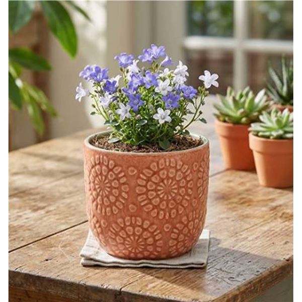 Stone & Beam Floral Embossed Planter Small