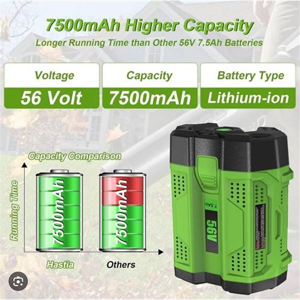 EGO 56V 5.0Ah Lithium Battery