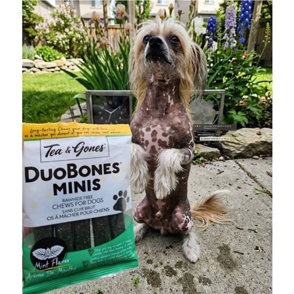Six Packs Duobones Minis Chews for Dogs