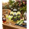 Image 3 : Mott's Mr & Mrs T Margarita Mix 6x1L