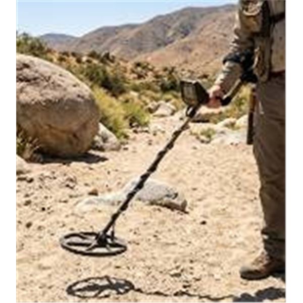 Fisher Gold Bug Metal Detector