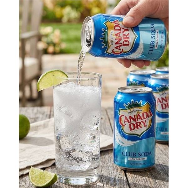 Canada Dry Club Soda 2X12X355ML