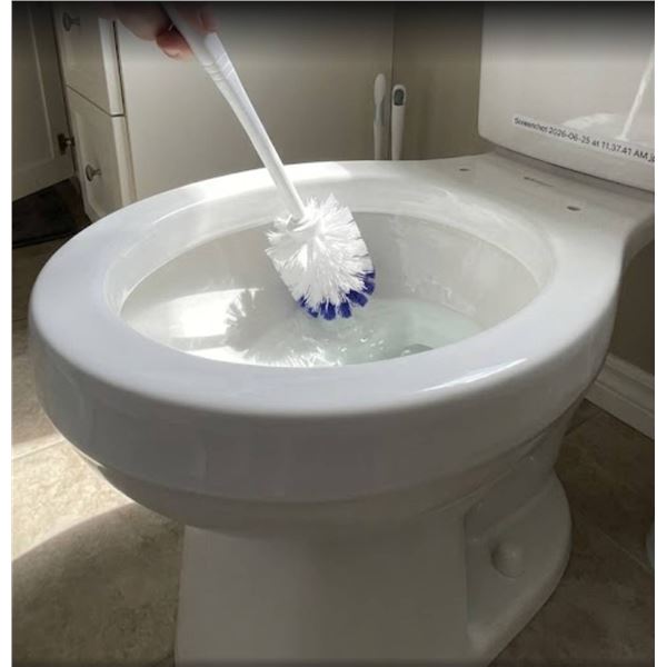 6 Plastic Toilet Brushes