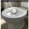 Image 1 : 6 Plastic Toilet Brushes
