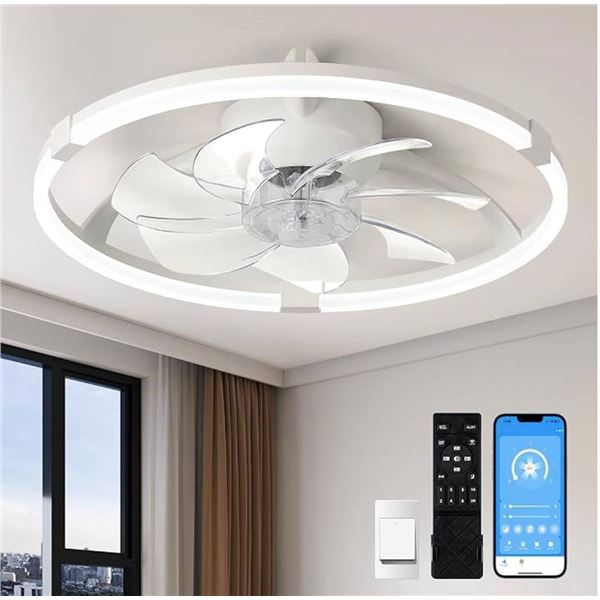 Linborr 20" Ceiling Fan Light, White