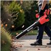 Image 1 : OUTIGO JBCF-001 Electric Blower