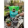 Image 1 : Miracle-Gro Perlite 8.8L Bag