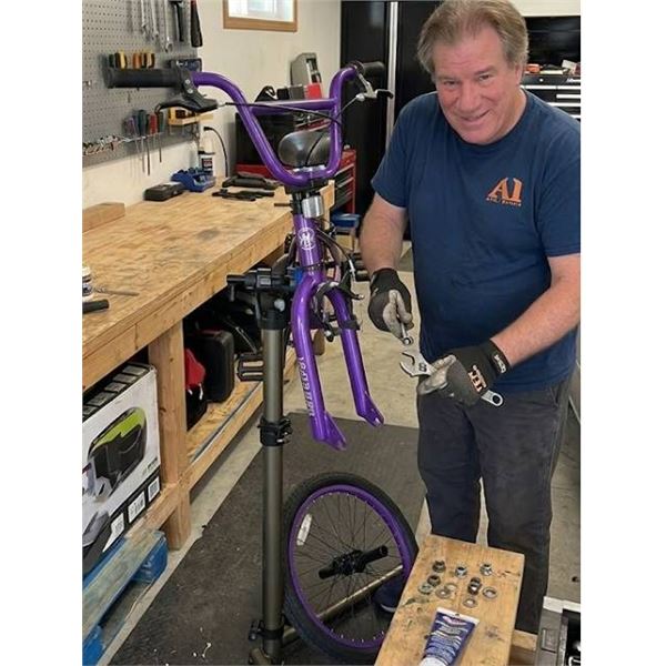 Madd Gear MG20 Purple BMX Bike