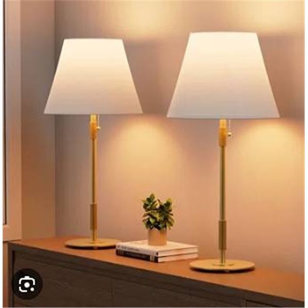 2 Modern Gold Table Lamps
