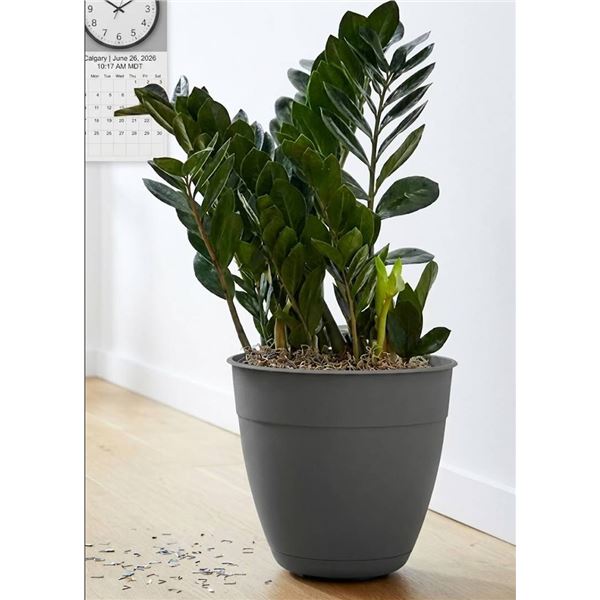 3 Bloem 12" Ocean Plastic Planters