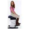 Image 1 : IJoy Ride Core and Balance Exercise Machine