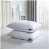 Image 1 : Beautyrest Platinum Feather & Down Pillow