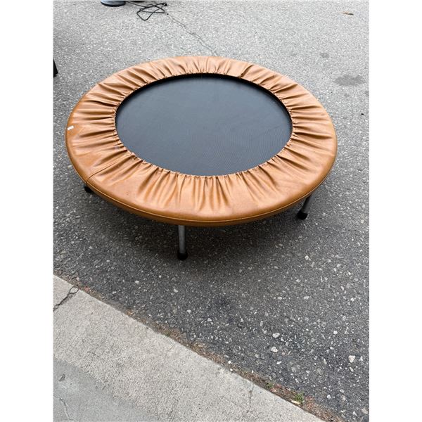 Rebounder