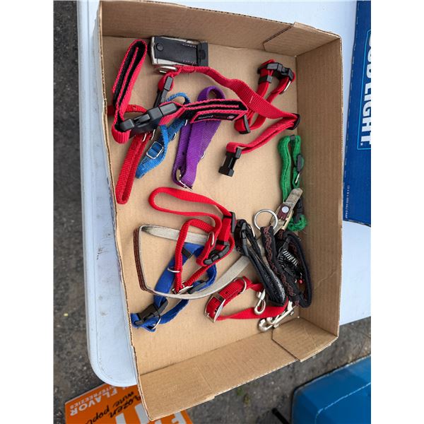 Pet collars