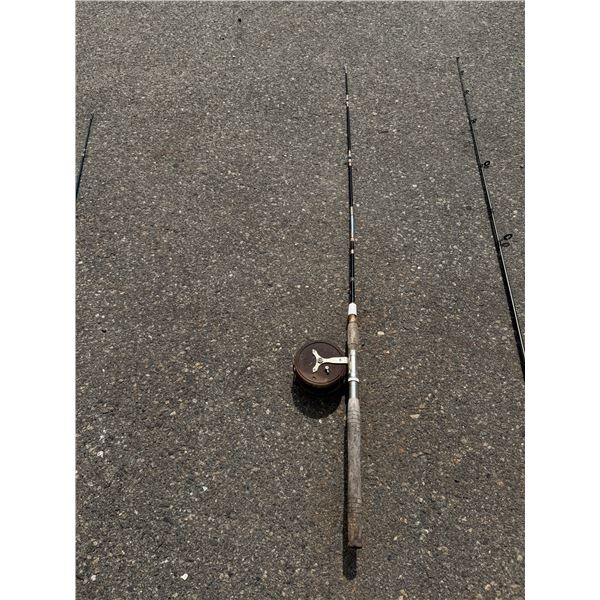 Fishing rod and reel