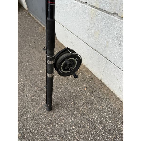 DAIWA black widow fishing rod with Shimano Real