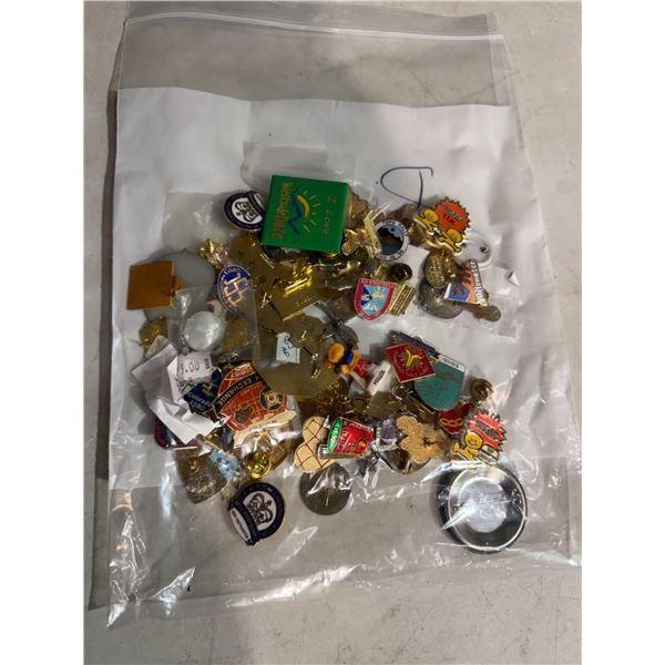 Assorted pins