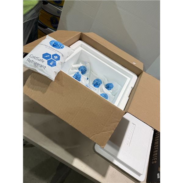 Styrofoam cooler with cooling packs new
