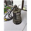 Image 1 : Mastercraft submersible pump
