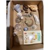 Image 1 : Shells