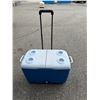 Image 1 : Rubbermaid cooler