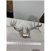 Image 2 : Rustic decor