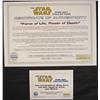 Image 4 : Framed Star Wars Art Canvas FORCE OF LIFE POWER DEATH