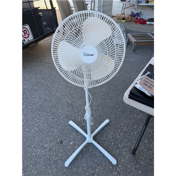 Fan