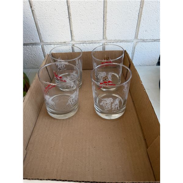 Glasses, Golden Gate Fields