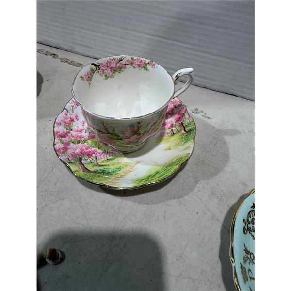 Royal, Albert tea cup, and saucer