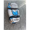 Image 1 : Rolling bag