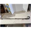 Image 1 : Walking sticks