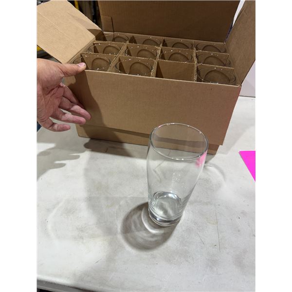 12 beer glasses