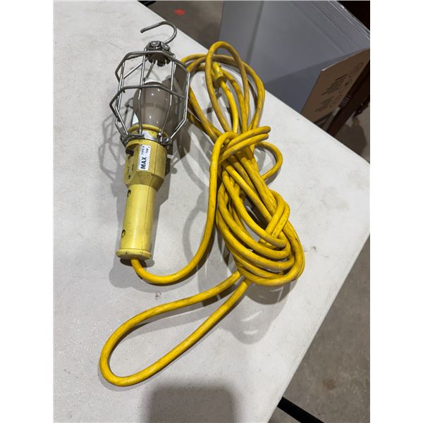 Mechanic trouble light