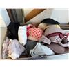 Image 1 : Undergarments bras, etc.