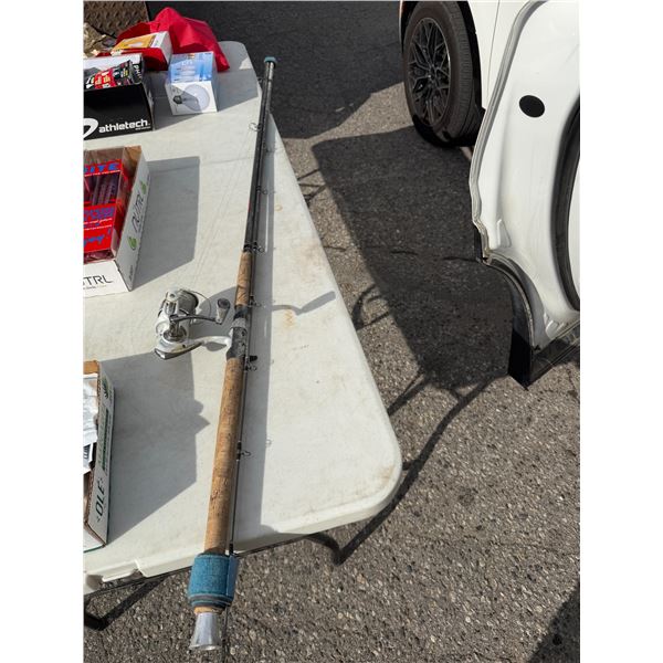 Berkeley fishing rod with Real