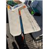 Image 1 : Hockey stick