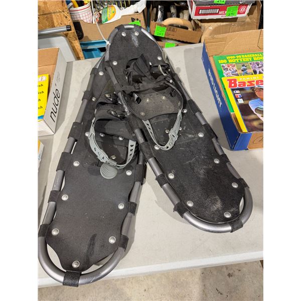 Snow shoes