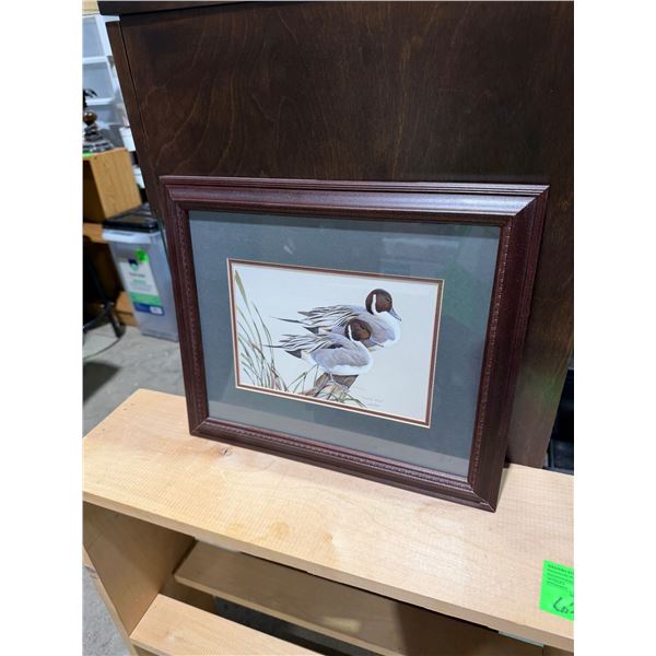 Pintail pals 15" x 13"