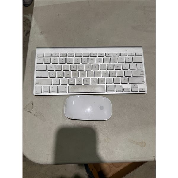 Apple mouse and computer