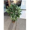 Image 1 : Artificial plant