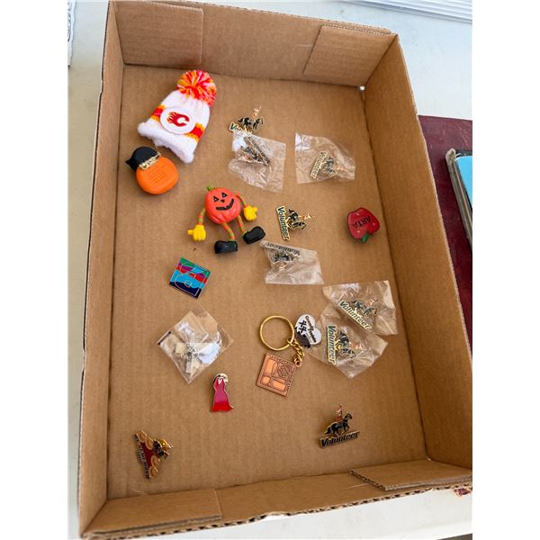 Assorted pins and keychains