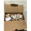 Image 1 : Shells