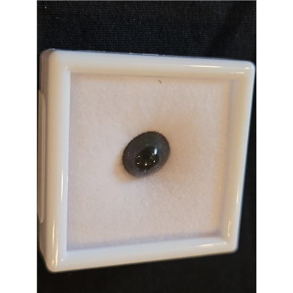 2.9ct Natural Black Opal - Value $400