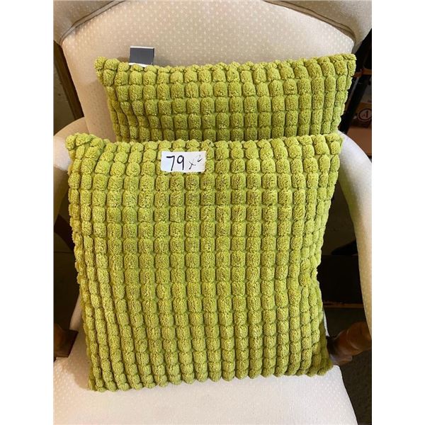2 PILLOWS
