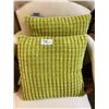 Image 1 : 2 PILLOWS