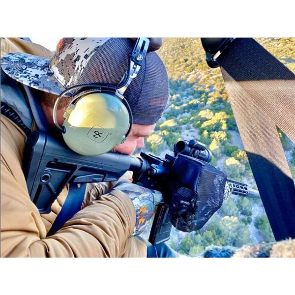 Texas Helicopter Hog Hunt - 2 Hunters